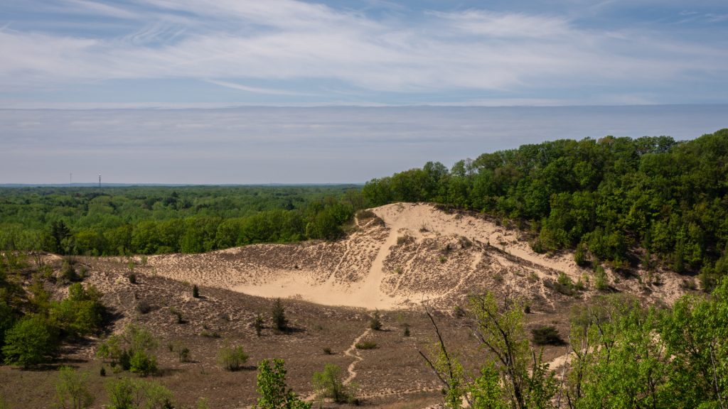 Warren Dune