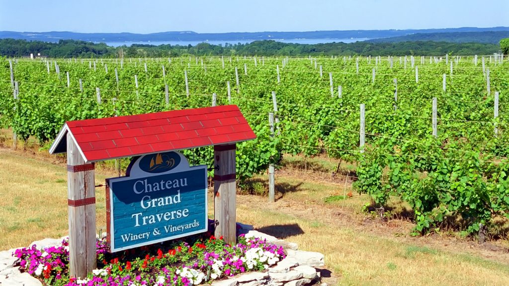 Traverse City Vineyard